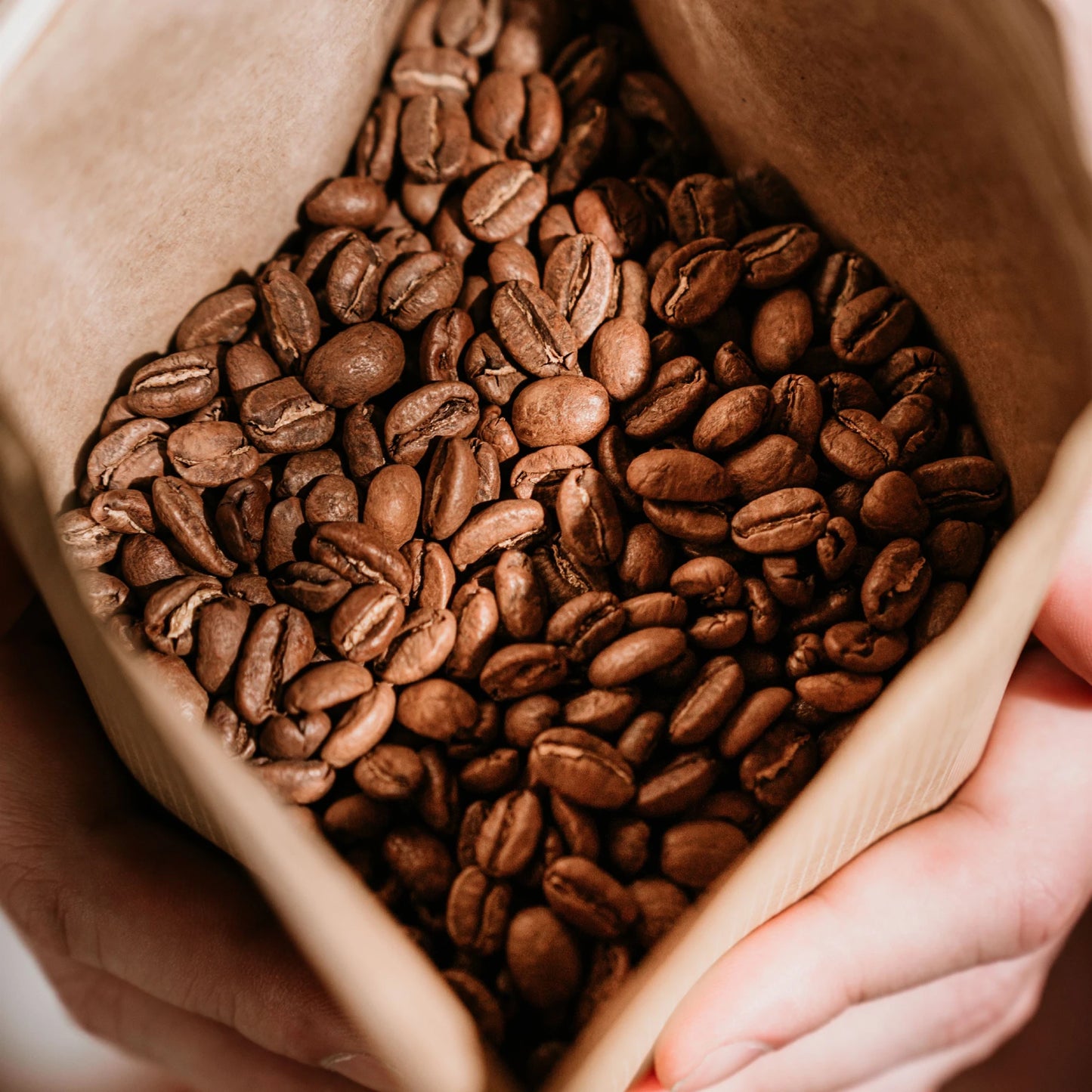 Kavos pupelės Colombia (Fairtrade & Organic), 333 g